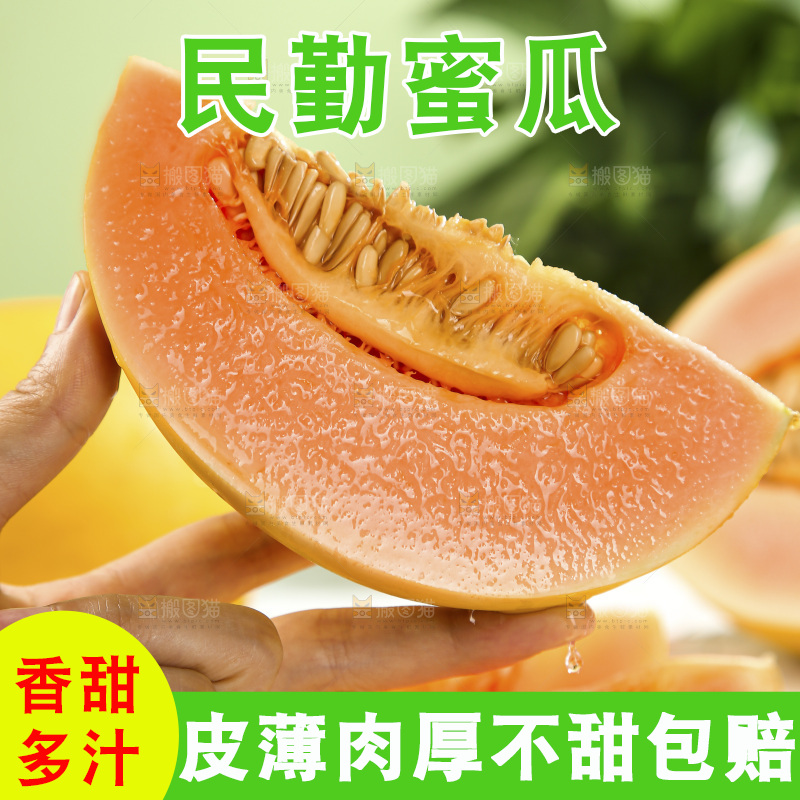 黄河蜜瓜