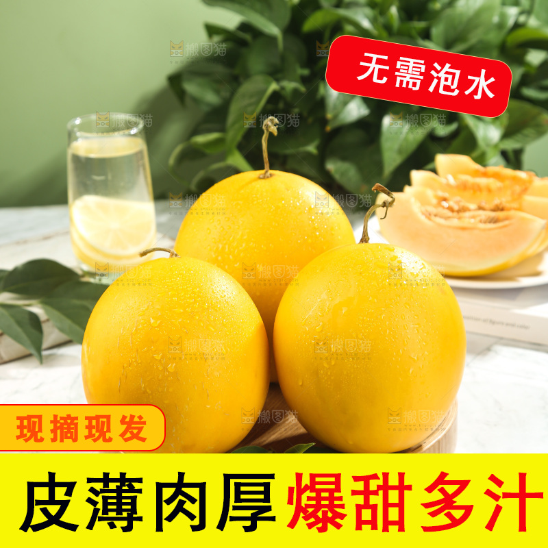 黄河蜜瓜