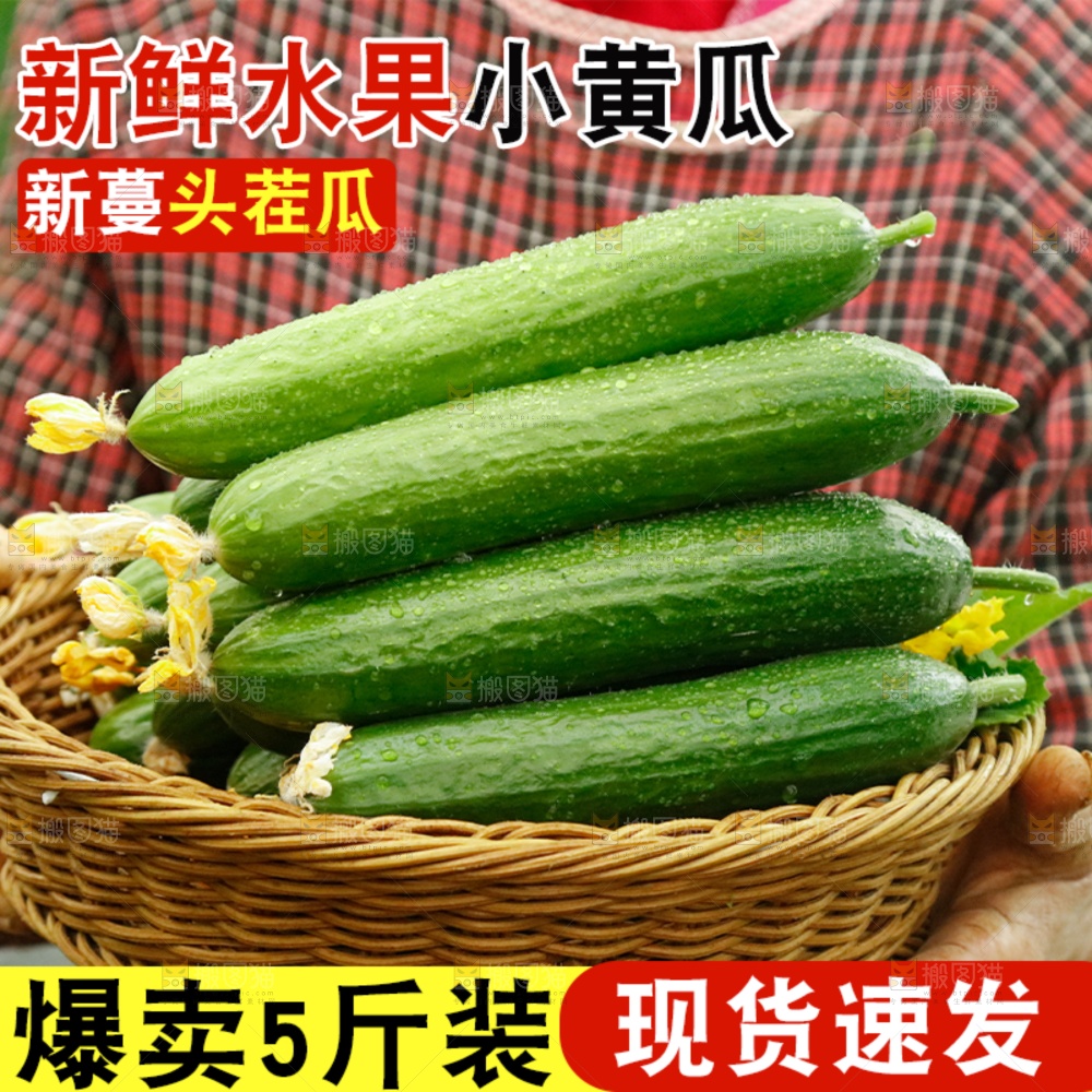 水果黄瓜主图