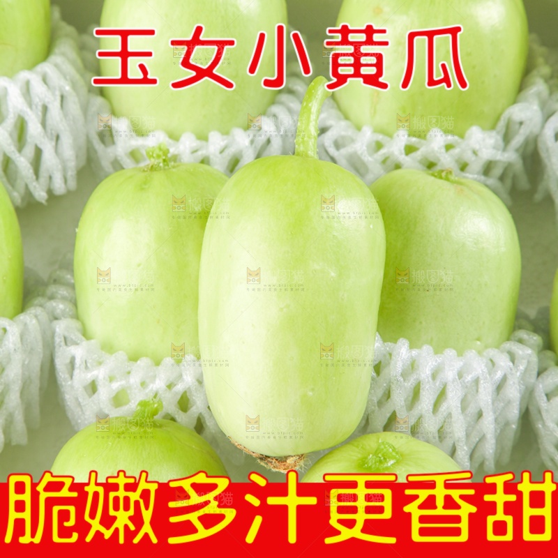 玉女黄瓜主图