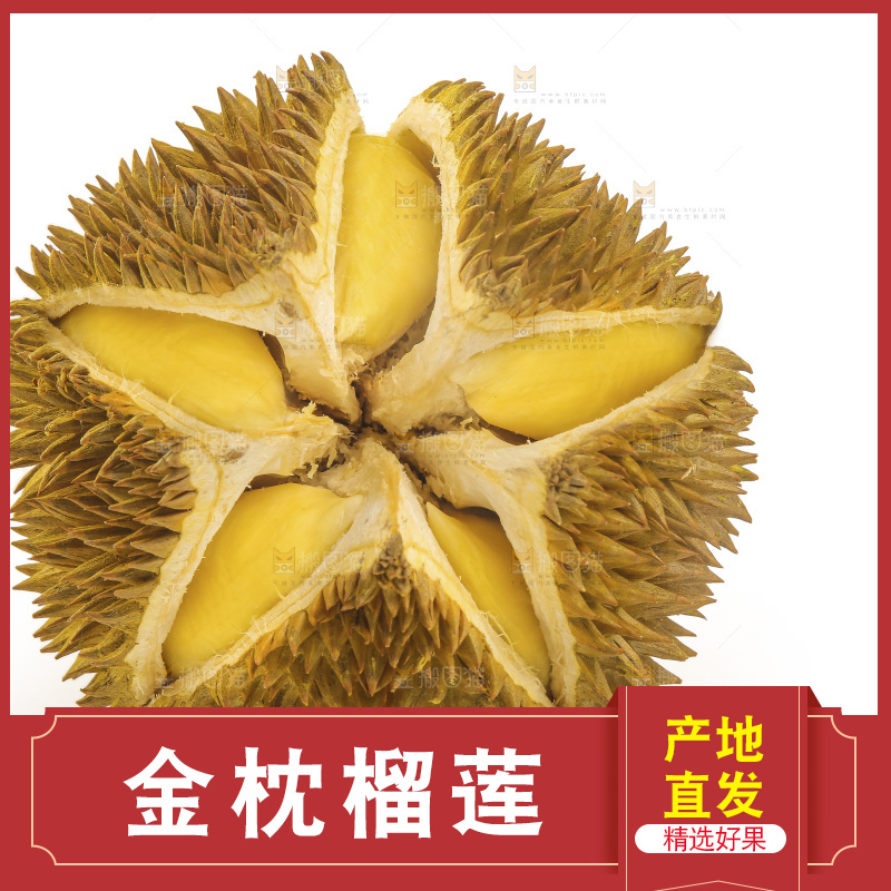 金枕榴莲