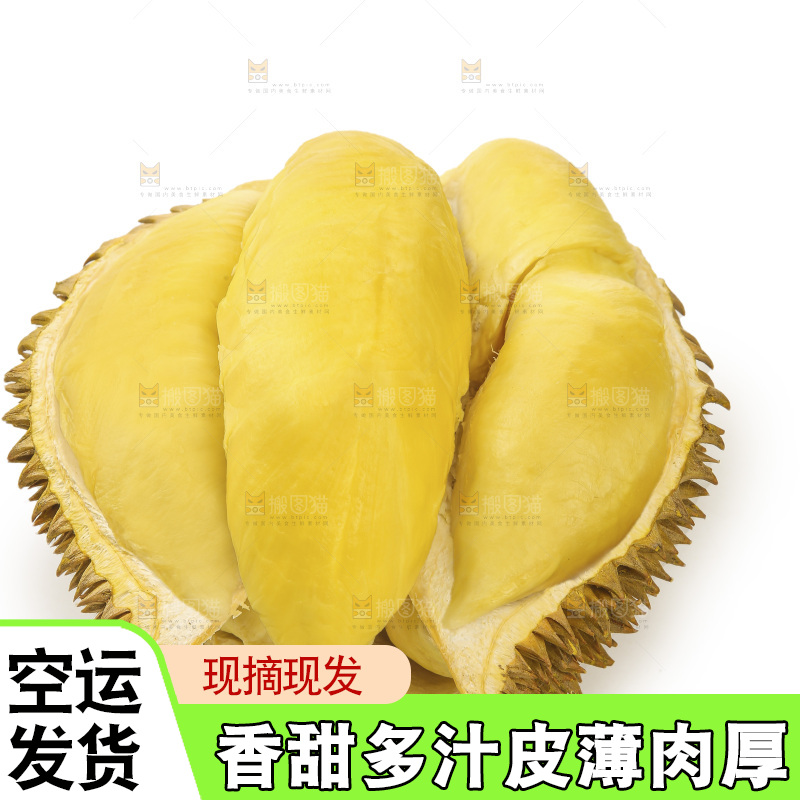 金枕榴莲