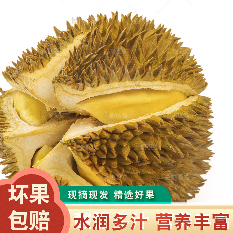 金枕榴莲