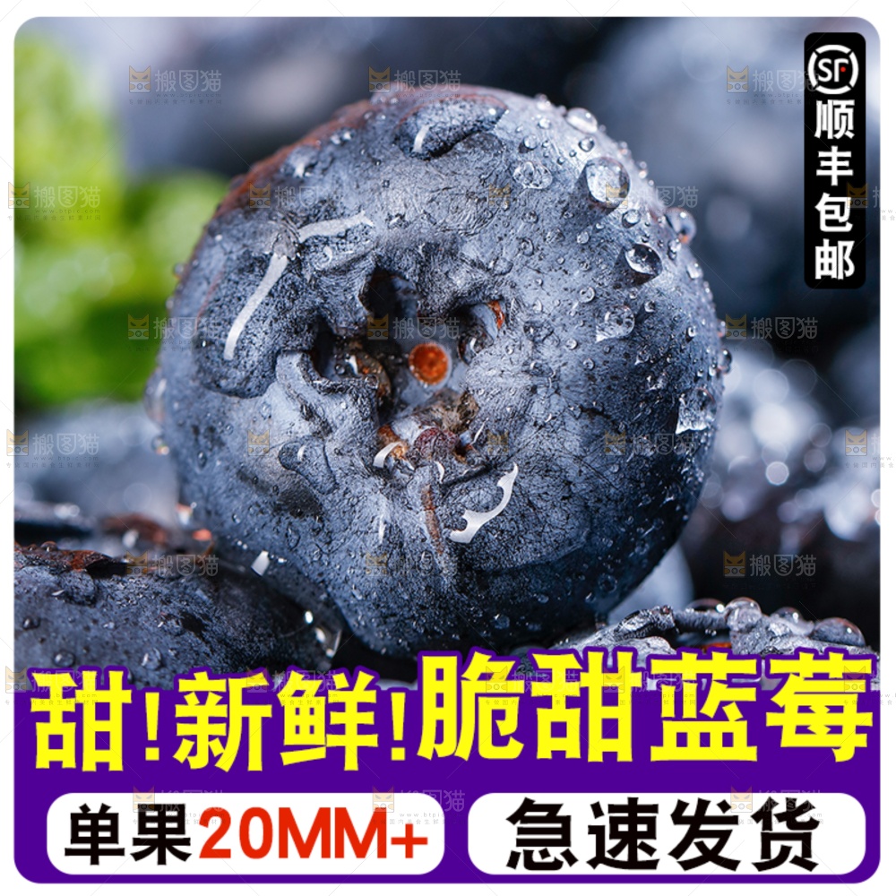 蓝莓主图