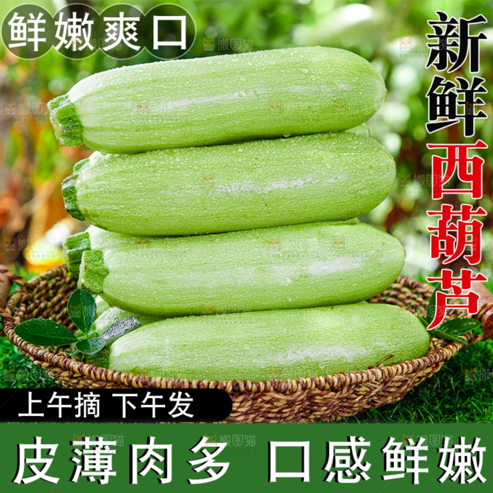 西葫芦主图