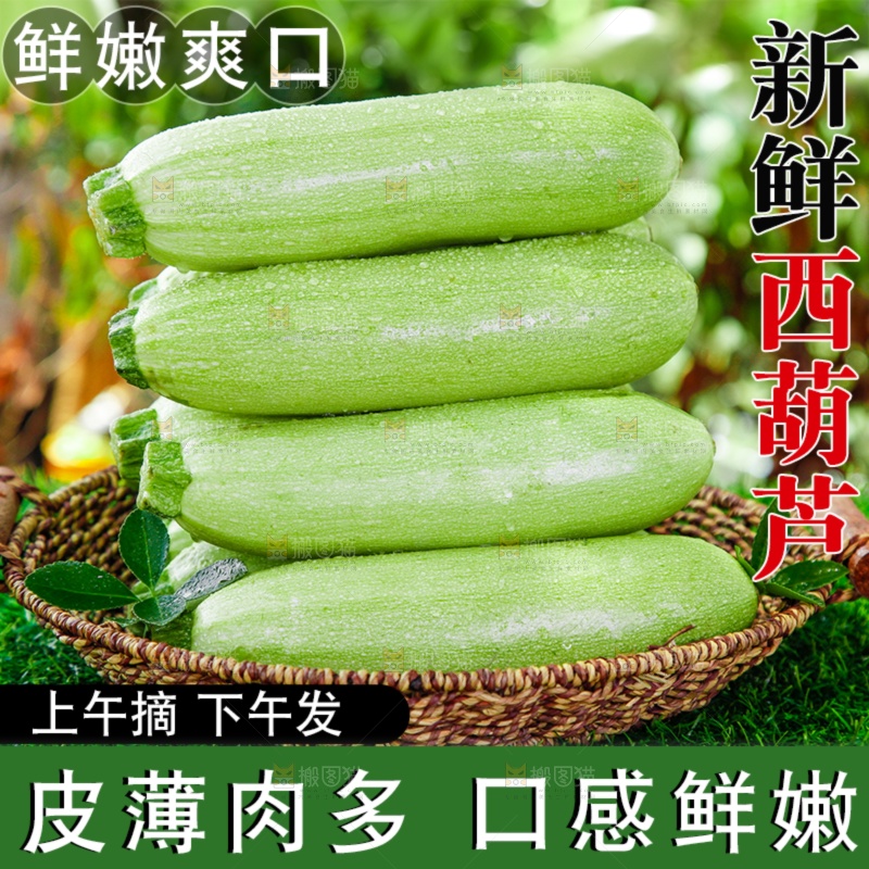 西葫芦主图