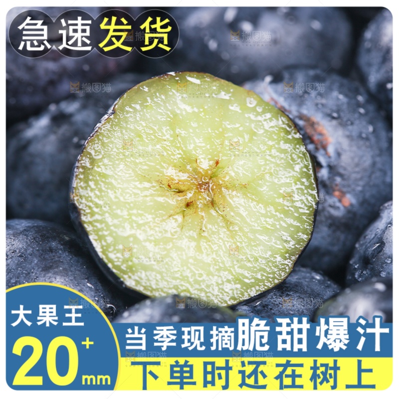 蓝莓主图