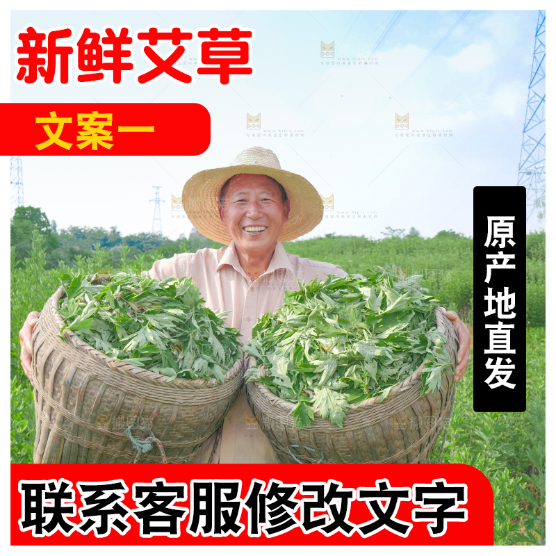 艾草