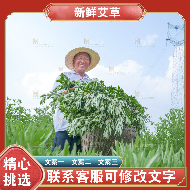艾草