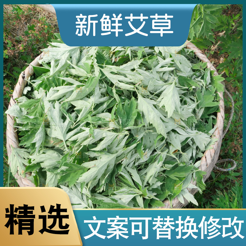 艾草