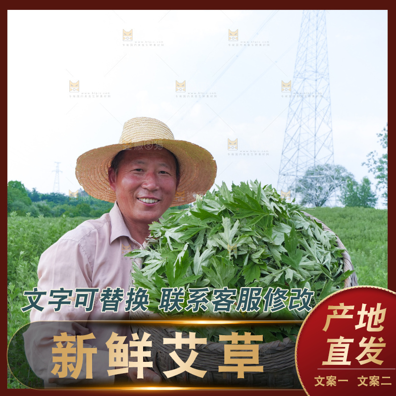 艾草