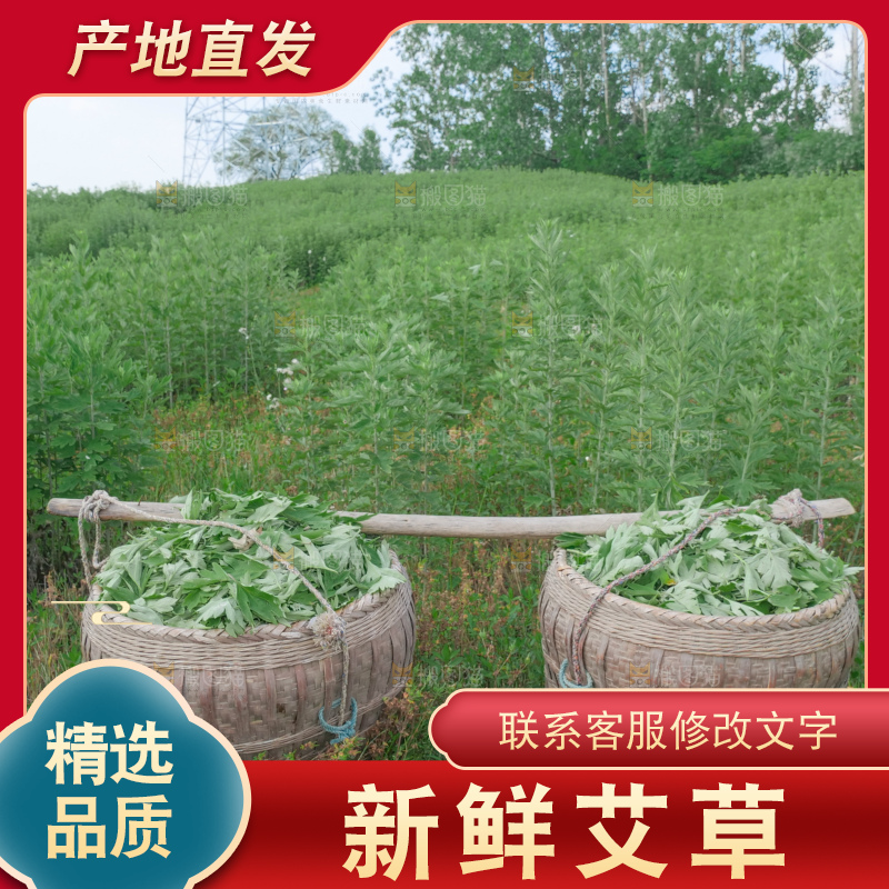 艾草