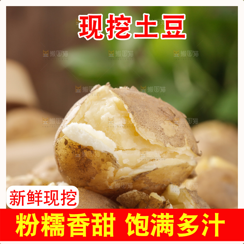 土豆