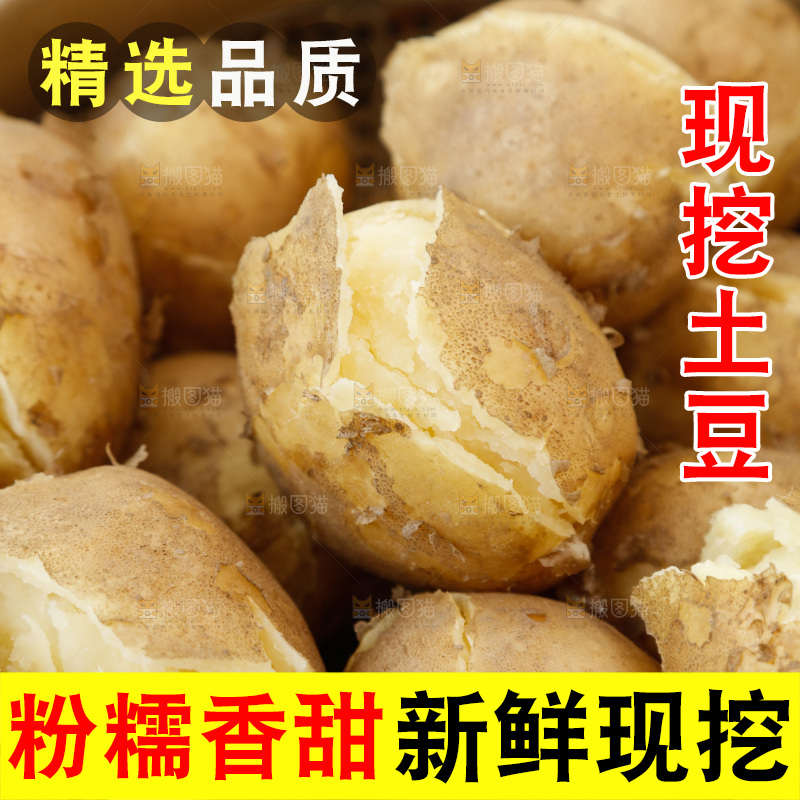 土豆