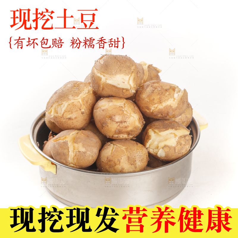 土豆
