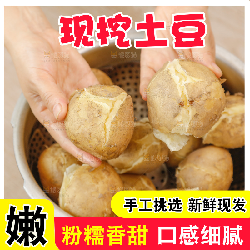 土豆