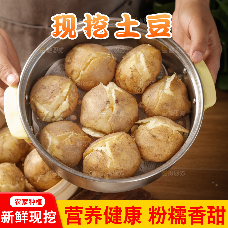 土豆