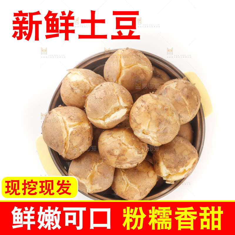 土豆