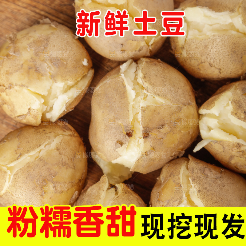 土豆