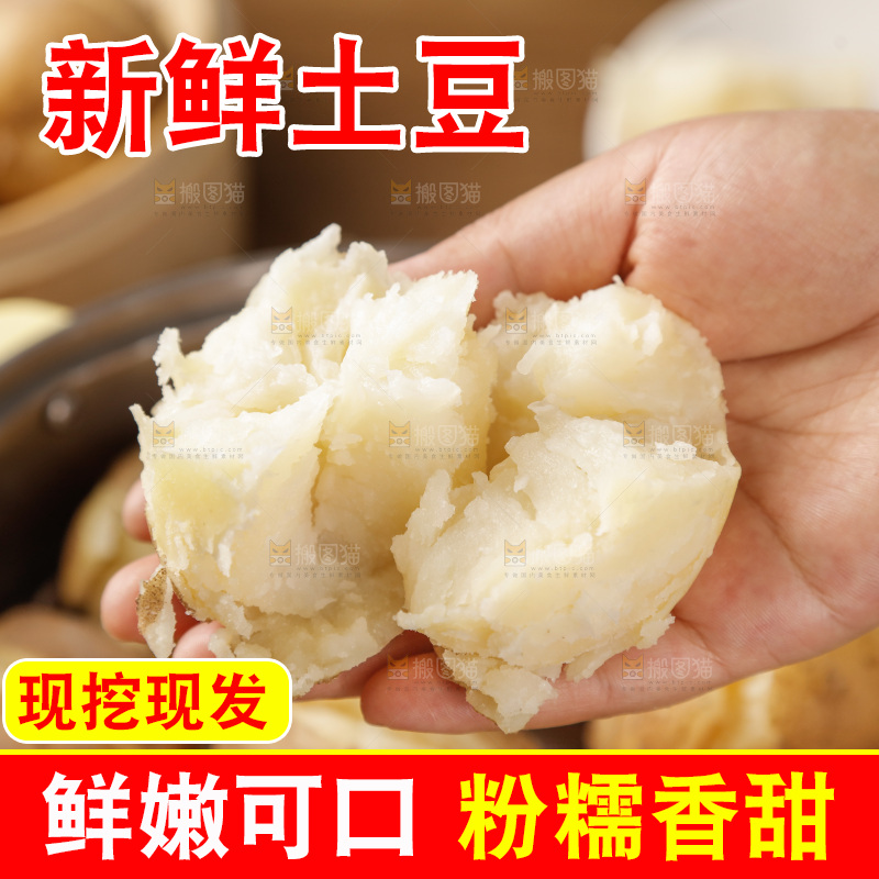 土豆