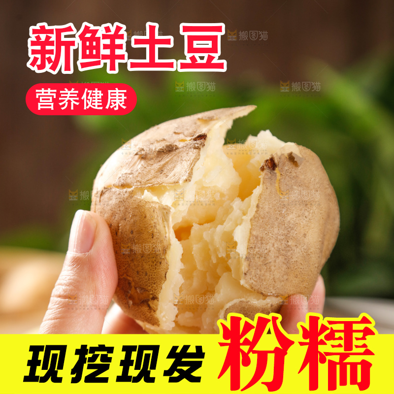 土豆
