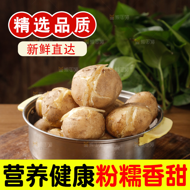 土豆
