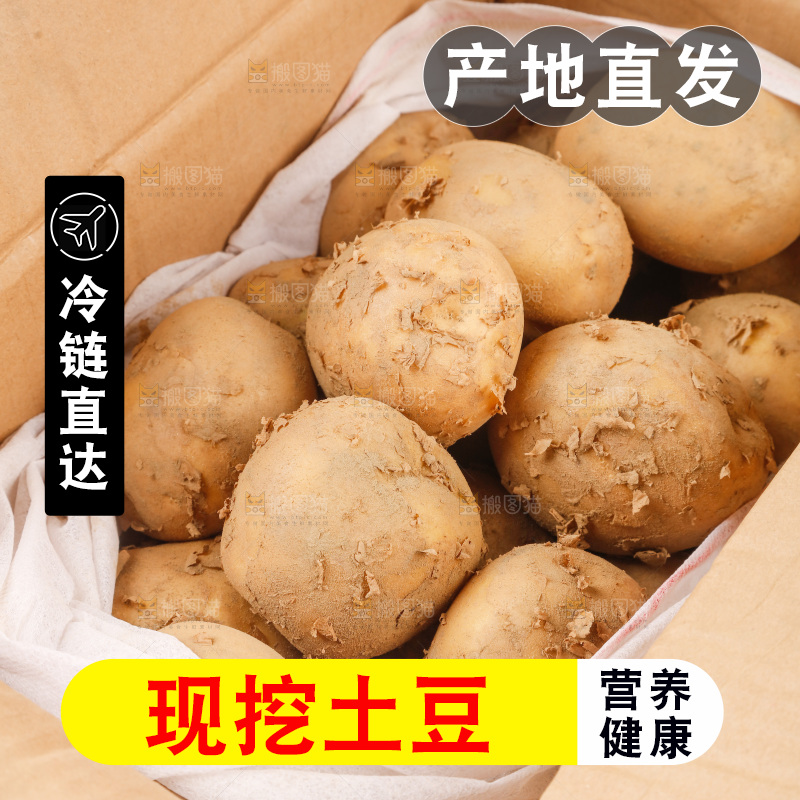 土豆