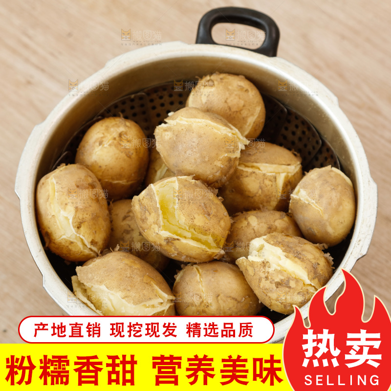 土豆
