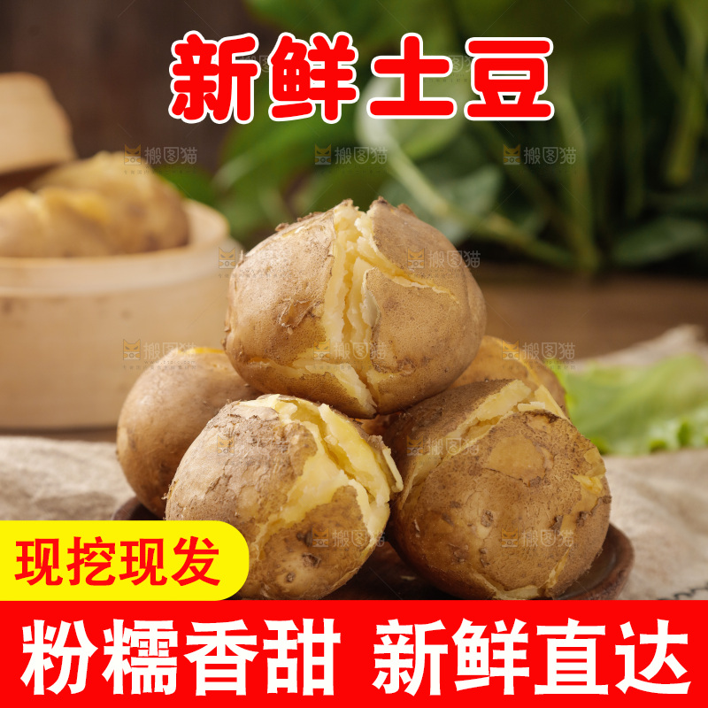 土豆