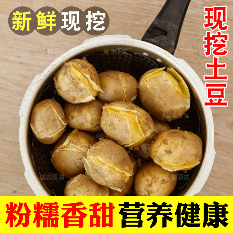 土豆