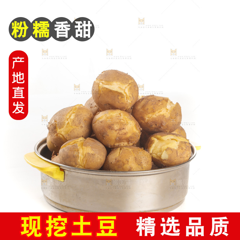 土豆