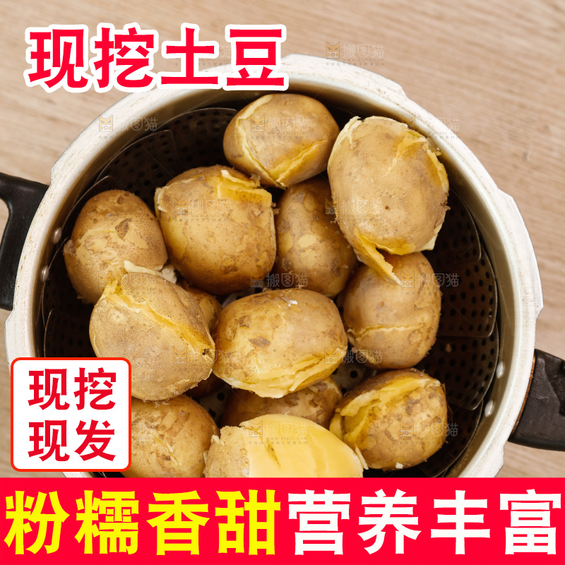 土豆