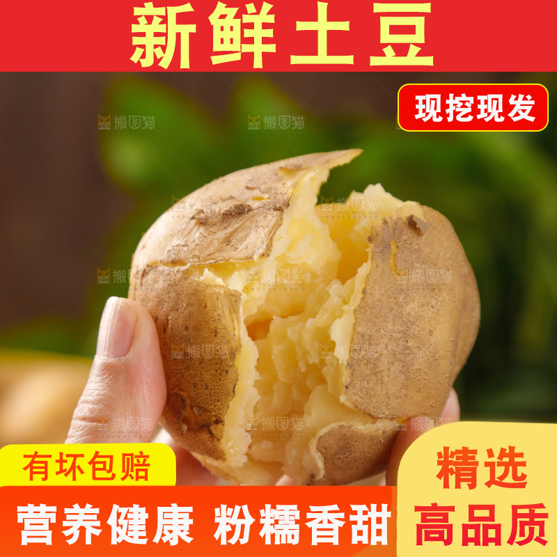 土豆