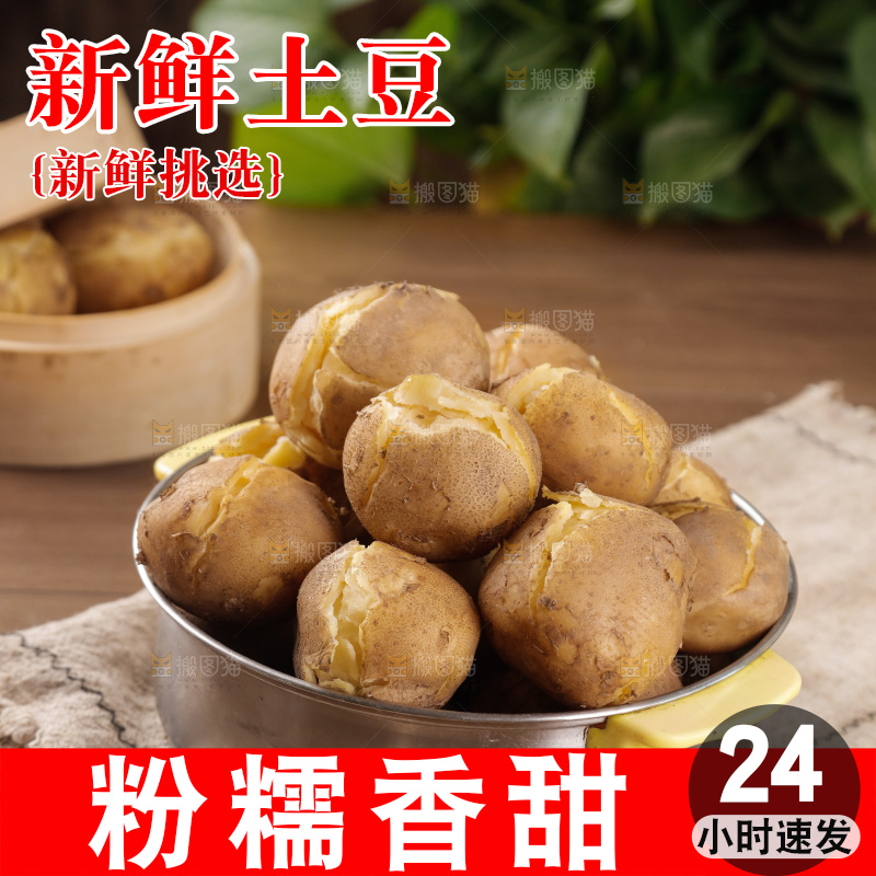 土豆