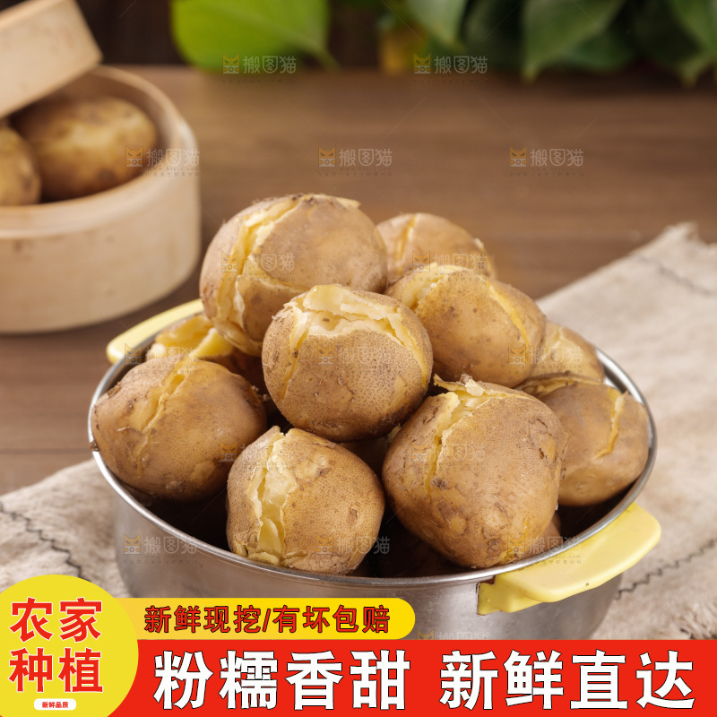 土豆