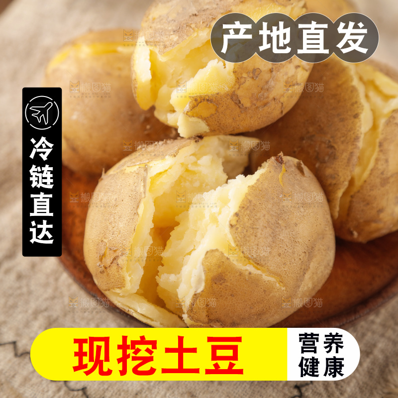 土豆