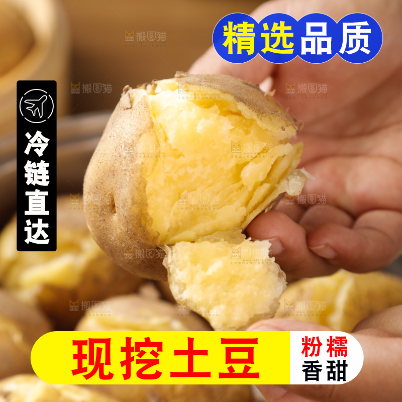 土豆