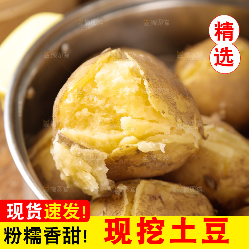 土豆