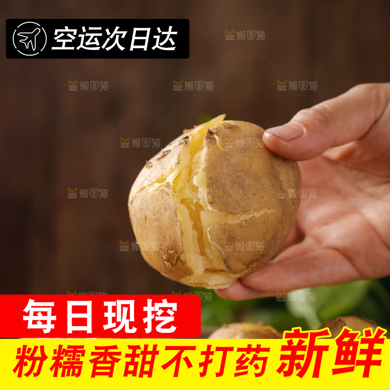 土豆