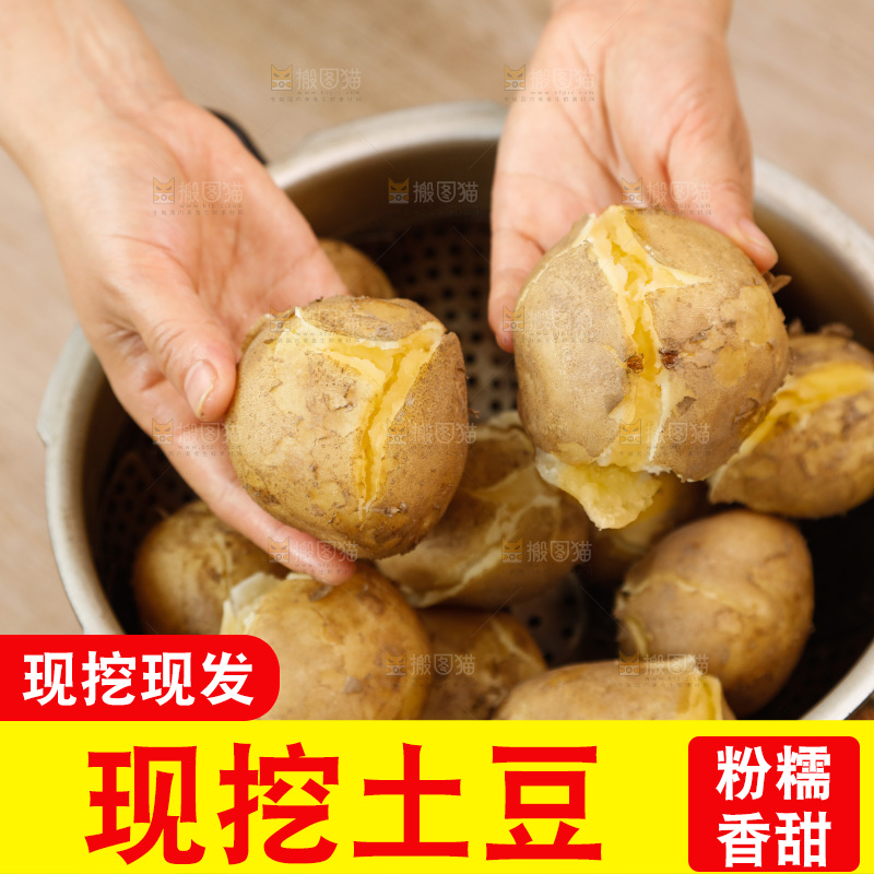 土豆