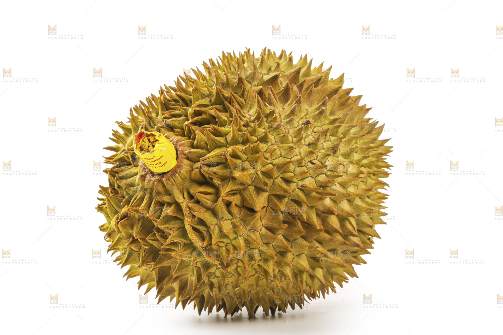 金枕榴莲