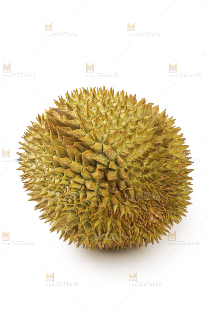 金枕榴莲