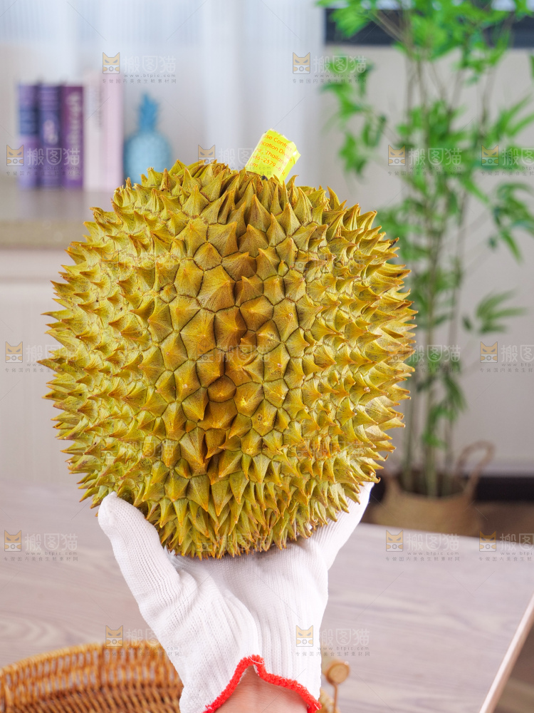 金枕榴莲