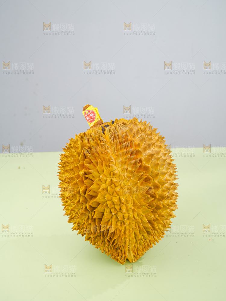 金枕榴莲