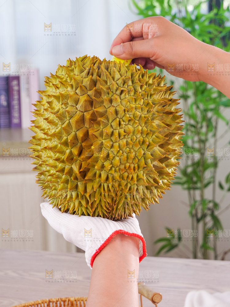 金枕榴莲