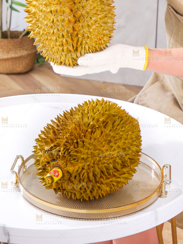 金枕榴莲