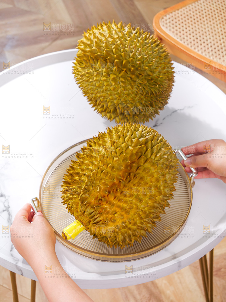 金枕榴莲