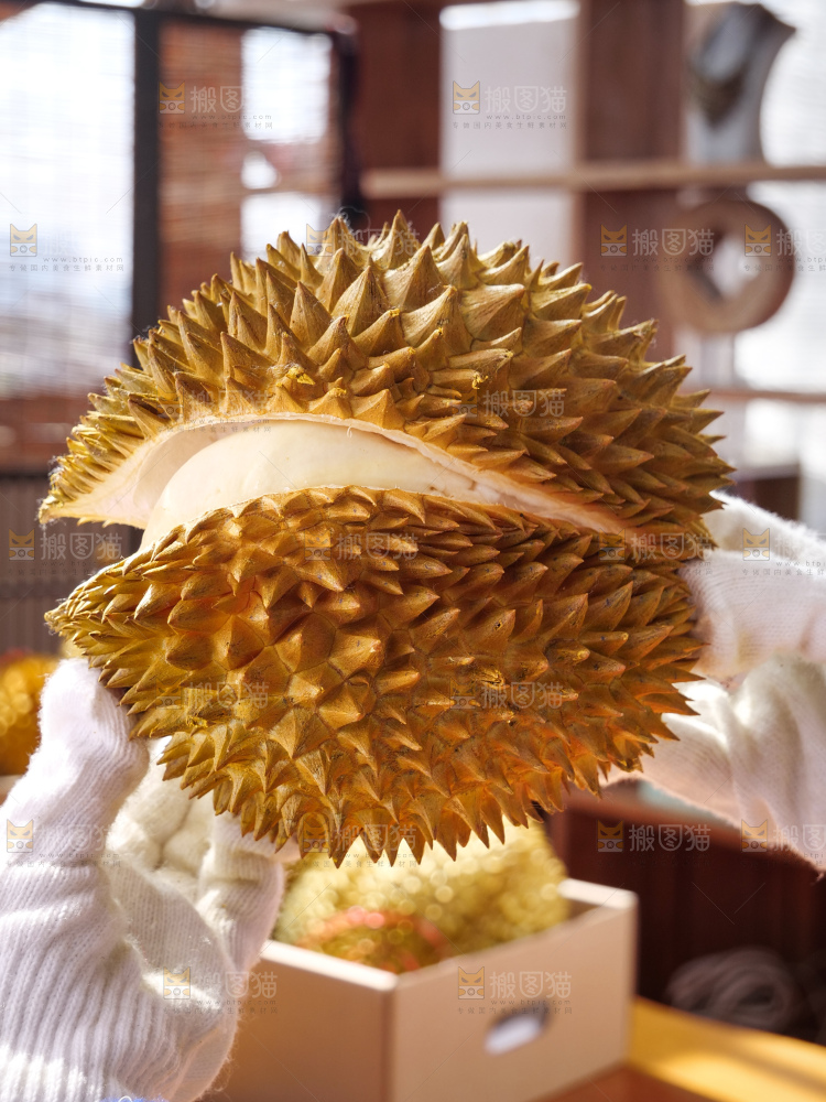 金枕榴莲