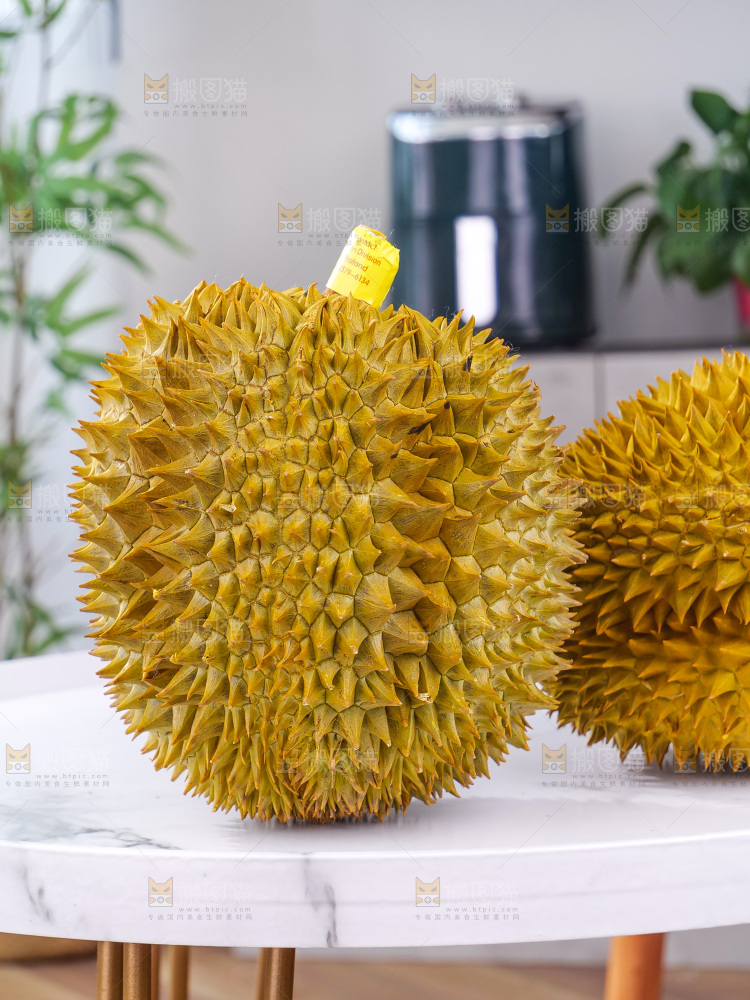 金枕榴莲