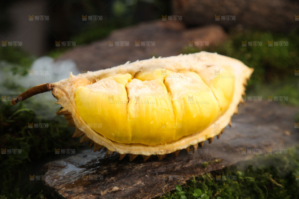 金枕榴莲
